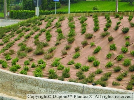 Bache anti mauvaise herbe écologique 10 x 1 m par Jardin et Saisons