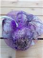 Ail A Planter D´Hiver Violet Germidour Filet 250 G