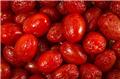 Lycium barbarum Sweet Lifeberry Pot C3.6 ** Gojii **