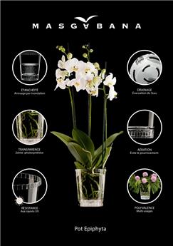 Pot orchidee 12 cm transparent Simple Masgabana
