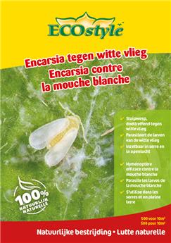 Encarsia contre la mouche blanche 500 st-pcs Ecostyle BIO