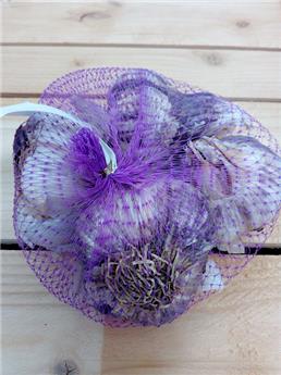 Ail A Planter D´Hiver Violet Germidour Filet 500 G