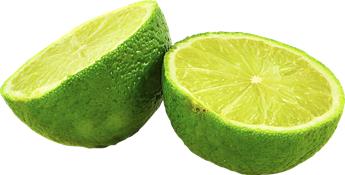 Citrus Lime Pot P15 cm ** Citron vert...Mojito !! **